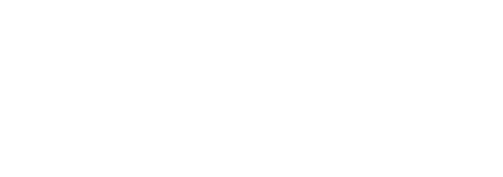 Apollo Pest Control Logo